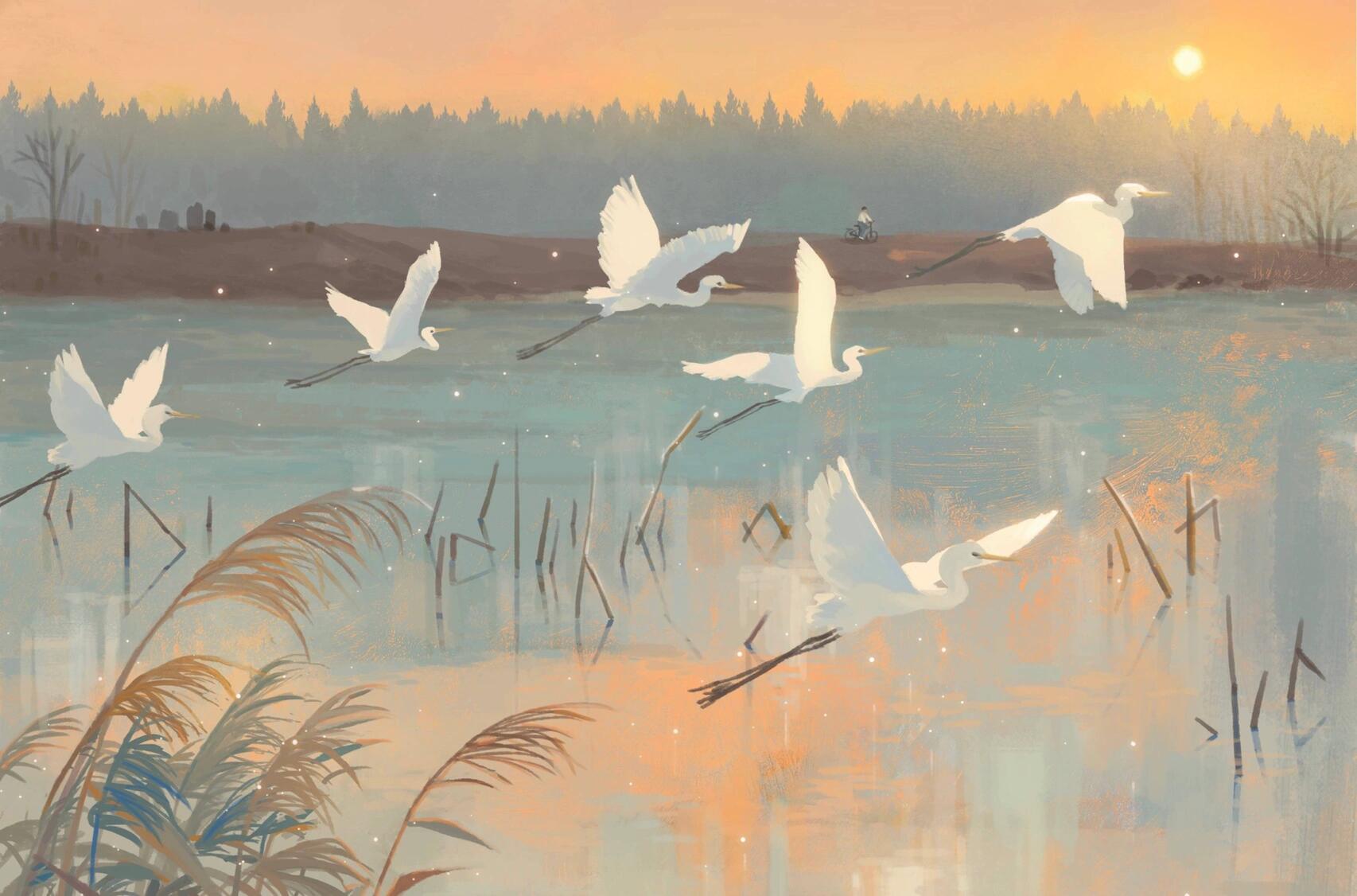 图卷积神经网络